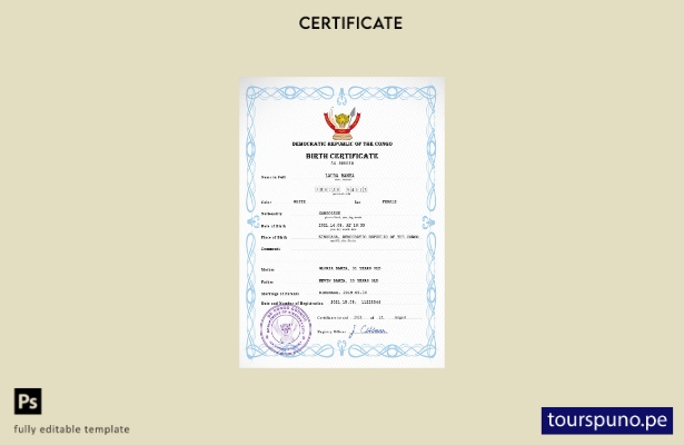 listo para imprimir plantilla PSD de certificado de nacimiento de registro ci 17